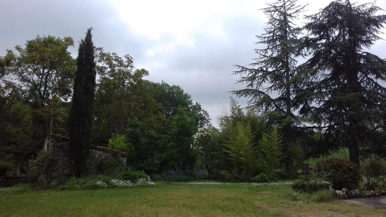 Domaine De Seguela Bed & Breakfast Fargues  Екстериор снимка