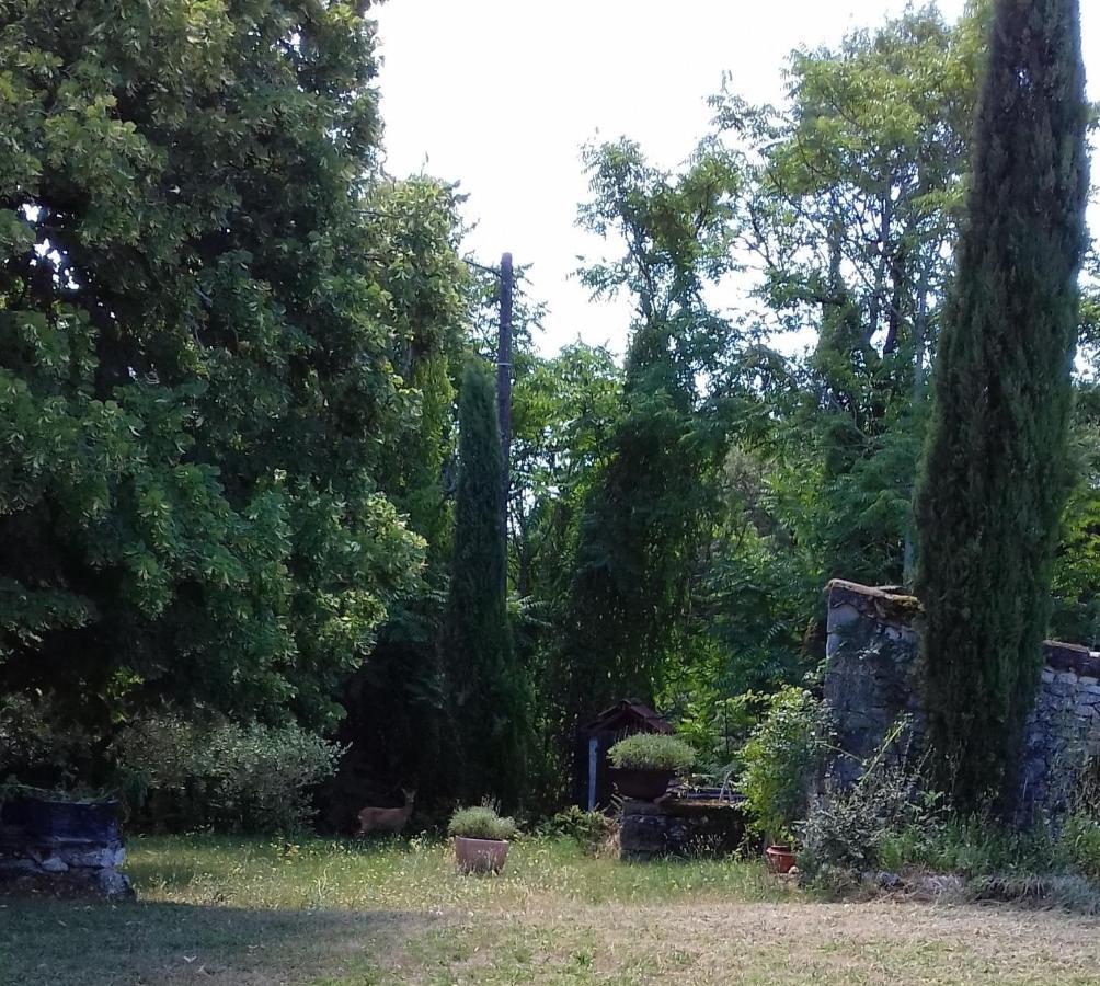 Domaine De Seguela Bed & Breakfast Fargues  Екстериор снимка