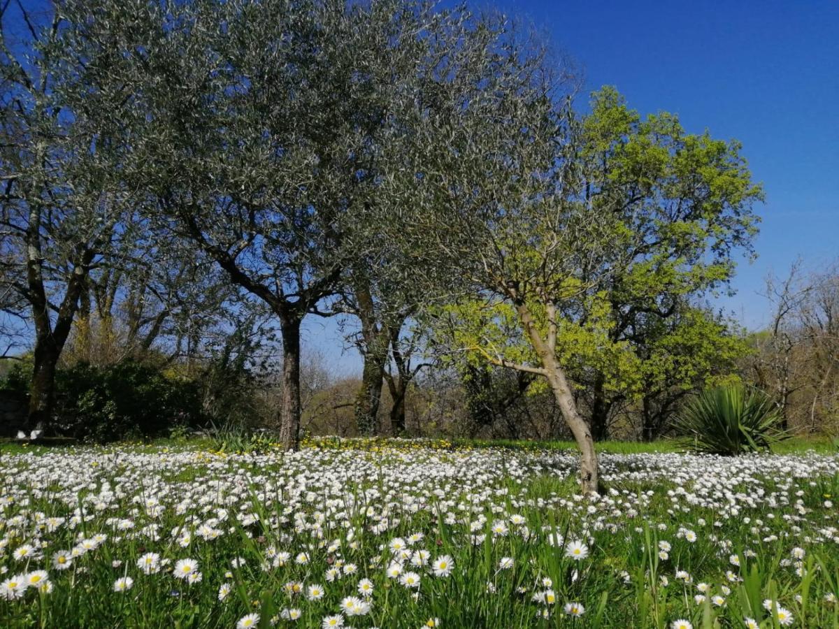 Domaine De Seguela Bed & Breakfast Fargues  Екстериор снимка