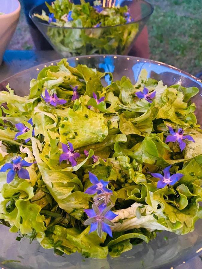 Domaine De Seguela Bed & Breakfast Fargues  Екстериор снимка