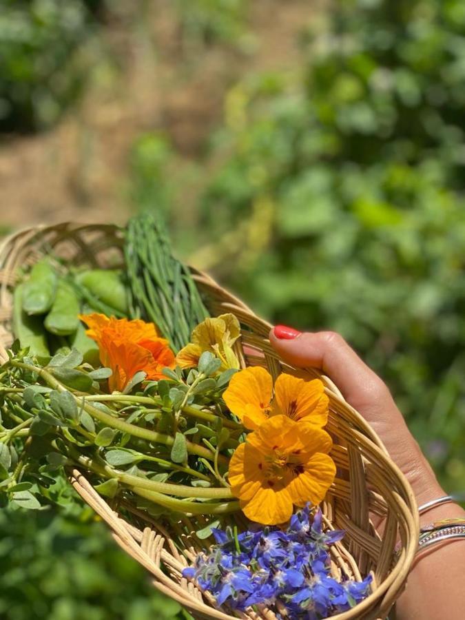 Domaine De Seguela Bed & Breakfast Fargues  Екстериор снимка